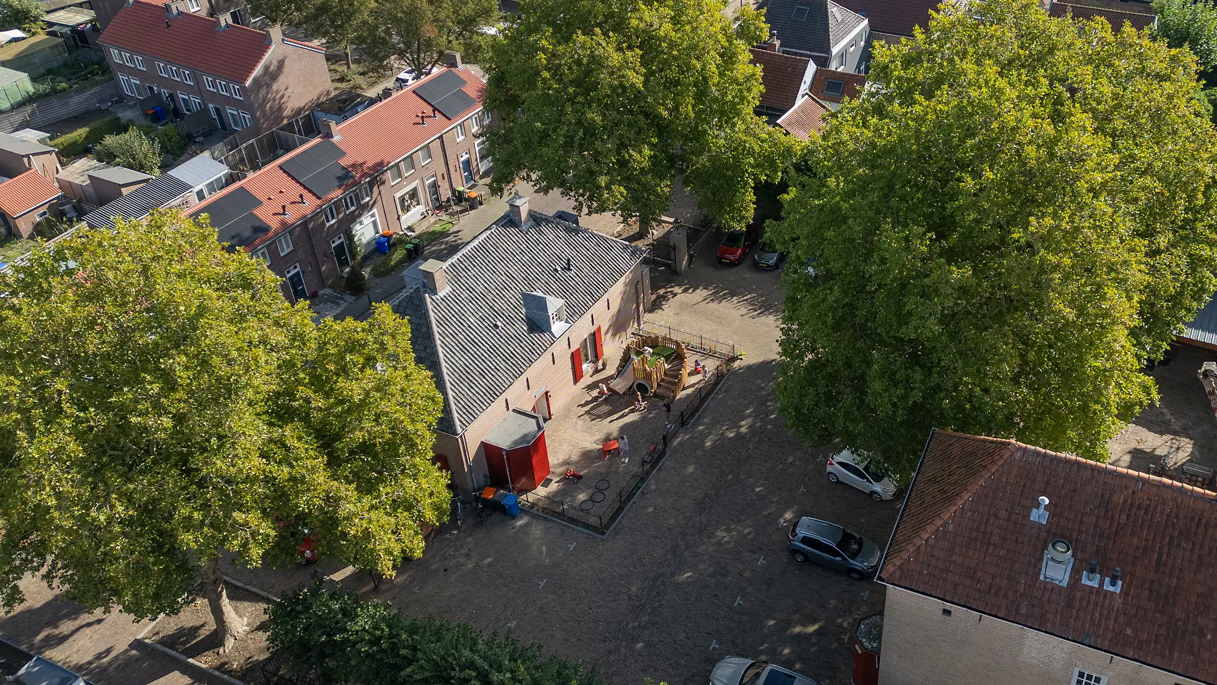 Paddestoel-0649-header