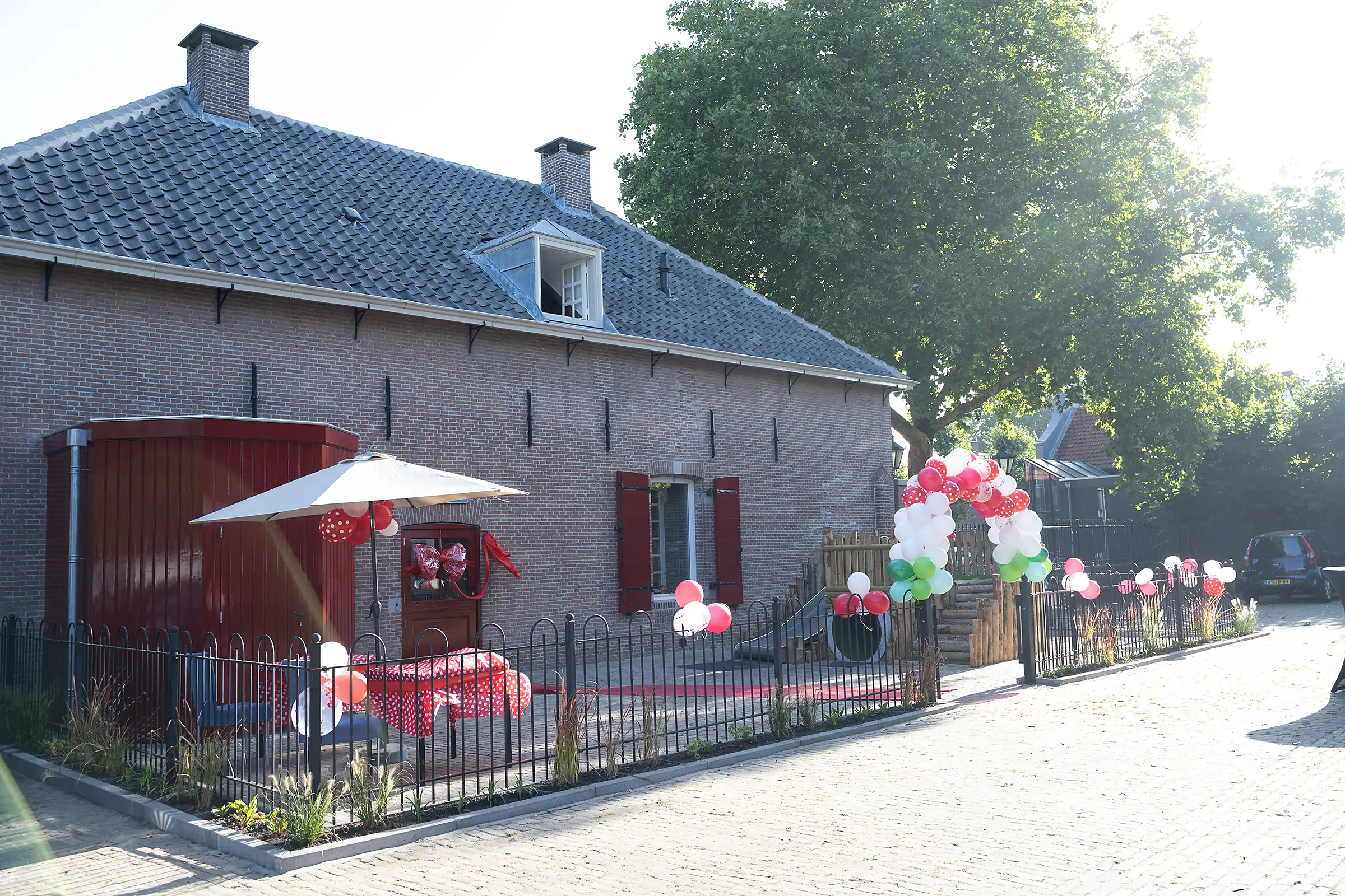 Paddestoel_4076-header