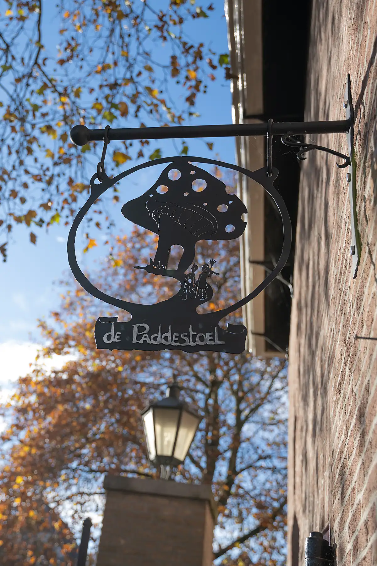 Paddestoel_5515-staand